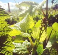 Punt Road Winery - Attractions Perth