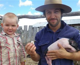 Gleneden Organic Farm And The Gleneden Bullock Team - Attractions Perth 2
