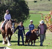 Bathurst Farm Experience - Attractions Perth