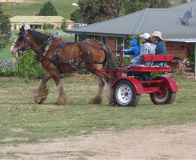 Bathurst Farm Experience - Attractions Perth 3