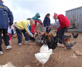 Bathurst Farm Experience - Attractions Perth 2