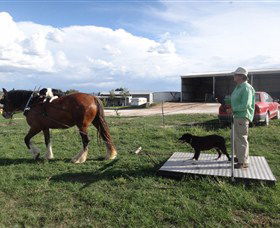 Bathurst Farm Experience - Attractions Perth 6