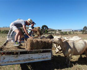 Bathurst Farm Experience - Attractions Perth 5