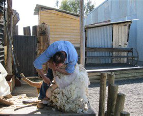 Boggy Creek Shows - Attractions Perth 4