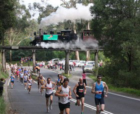 Puffing Billy Steam Railway - Attractions Perth 7