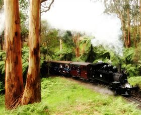 Puffing Billy Steam Railway - Attractions Perth 5
