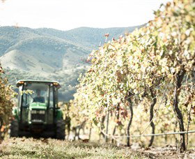 Logan Wines - Attractions Perth 5