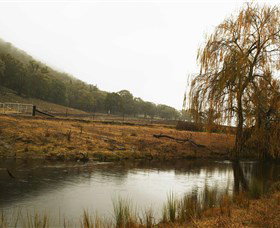 Logan Wines - Attractions Perth 6