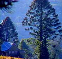 Bunya Mountains National Park - Attractions Perth