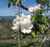 Mouat's Farm - Attractions Perth