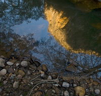 Abercrombie Karst Conservation Reserve - Attractions Perth