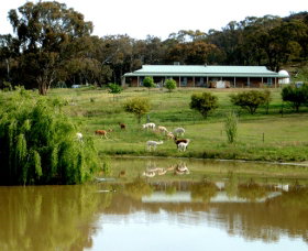 Clearview Alpacas - Attractions Perth 0