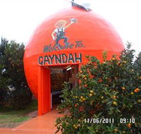 Gayndahs Big Orange - Attractions Perth