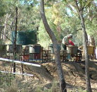 7 Oaks Sapphire Fossicking - Attractions Perth