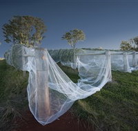 Toppers Mountain Wines - Attractions Perth