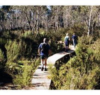 Hume and Hovell Walking Track - Henry Angel Trackhead - Attractions Perth