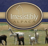Marchmont Park Alpacas - Attractions Perth