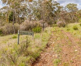Old Mountain Road Walking Track - Attractions Perth 0