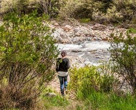 Old Mountain Road Walking Track - Attractions Perth 1