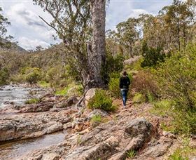 Old Mountain Road Walking Track - Attractions Perth 2