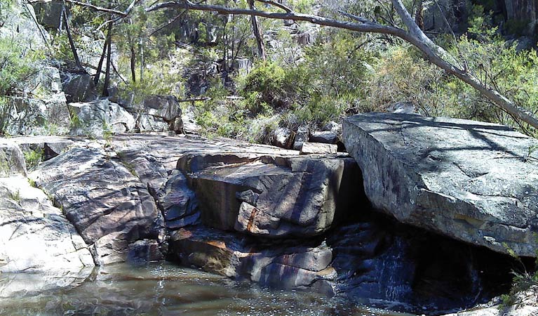 Wellington Vale NSW Attractions Perth