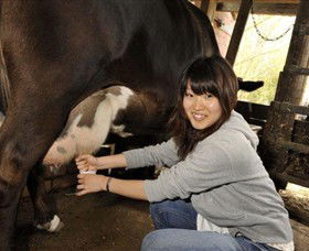 Warrook Farm - Attractions Perth 2