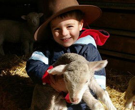 Warrook Farm - Attractions Perth 1