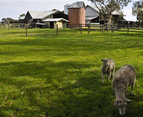Warrook Farm - Attractions Perth 4