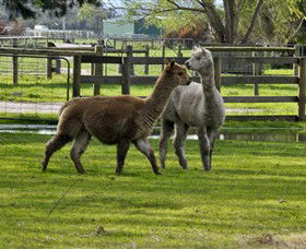 Warrook Farm - Attractions Perth 6