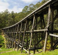Noojee Trestle Bridge - Attractions Perth