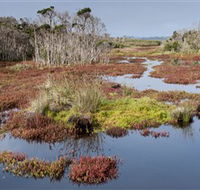 French Island National Park - Attractions Perth