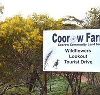 Coorow Farm Wildflower Trail - Attractions Perth