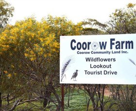 Coorow Farm Wildflower Trail - Attractions Perth 0