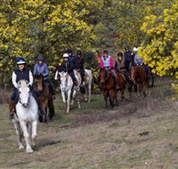 Burnelee Excursions on Horseback - Attractions Perth