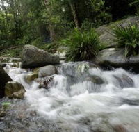 Washpool National Park - Attractions Perth