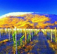 Surveyors Hill Winery - Attractions Perth