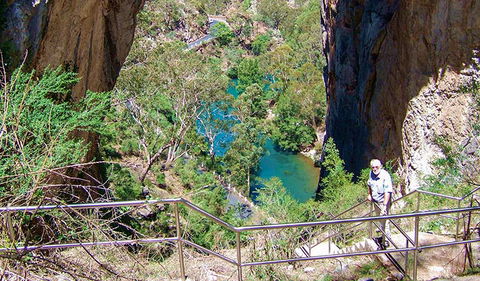 Carlotta Arch Walking Track - Attractions Perth 0