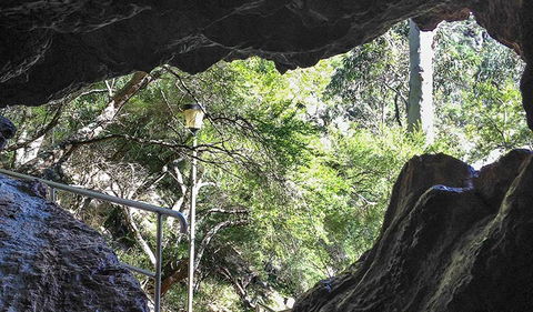 Carlotta Arch Walking Track - Attractions Perth 1