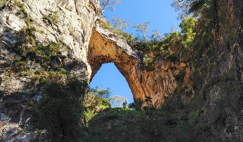 Carlotta Arch Walking Track - Attractions Perth 2