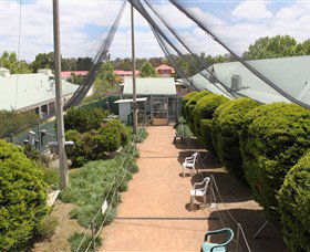 Canberra Walk In Aviary - Attractions Perth 2