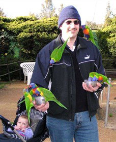 Canberra Walk In Aviary - Attractions Perth 0