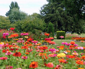 Alma Park - Attractions Perth 0