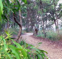 Mount Mutton Walking Trail - Attractions Perth