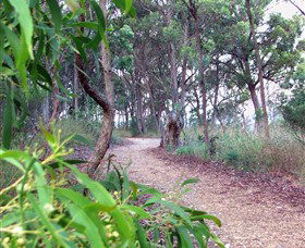 Mount Mutton Walking Trail - Attractions Perth 0