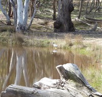 Mulligans Flat - Attractions Perth