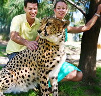 National Zoo  Aquarium - Attractions Perth
