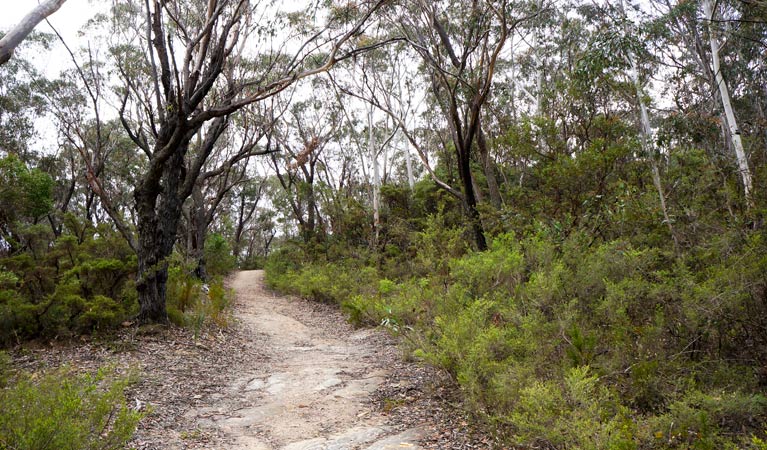 Ganbenang NSW Attractions Perth