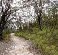 Six Foot walking track - Attractions Perth