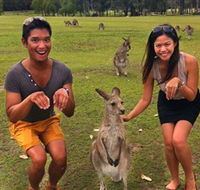 Runaway Tours - Attractions Perth