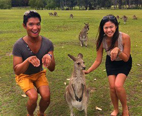 Runaway Tours - Attractions Perth 0
